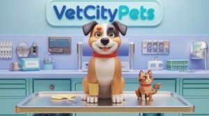 Veterinary Clinic VetCityPets